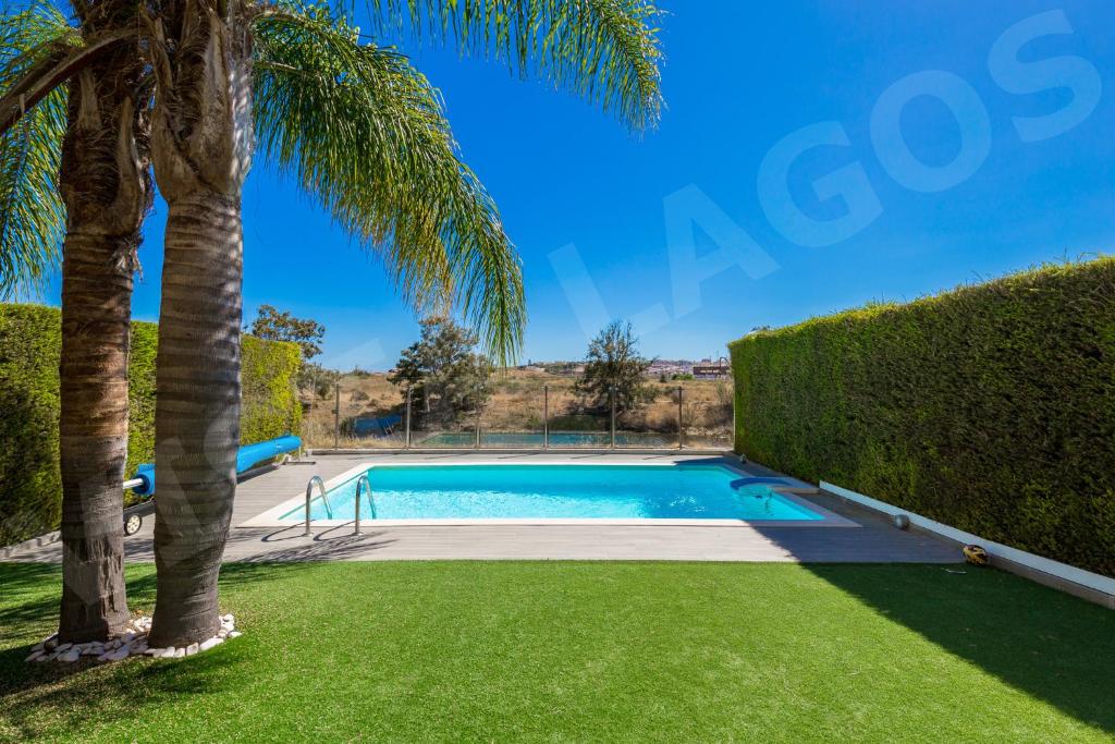 a swimming pool with a palm tree and grass at Casa Vista da Lagos in Lagos