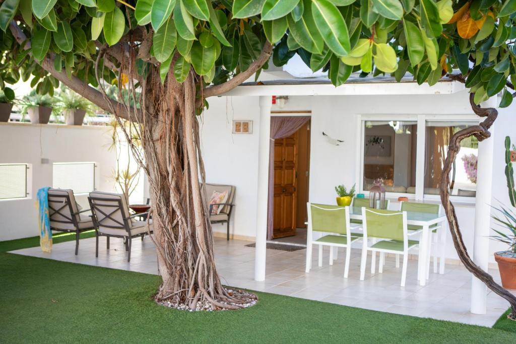 un soggiorno con tavolo e albero di Apartamento Net by Family Homes a Denia