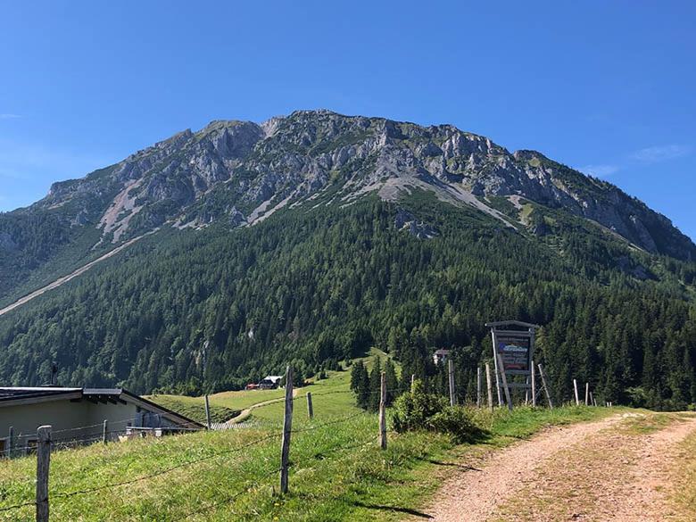 Příroda nedaleko apartmánu