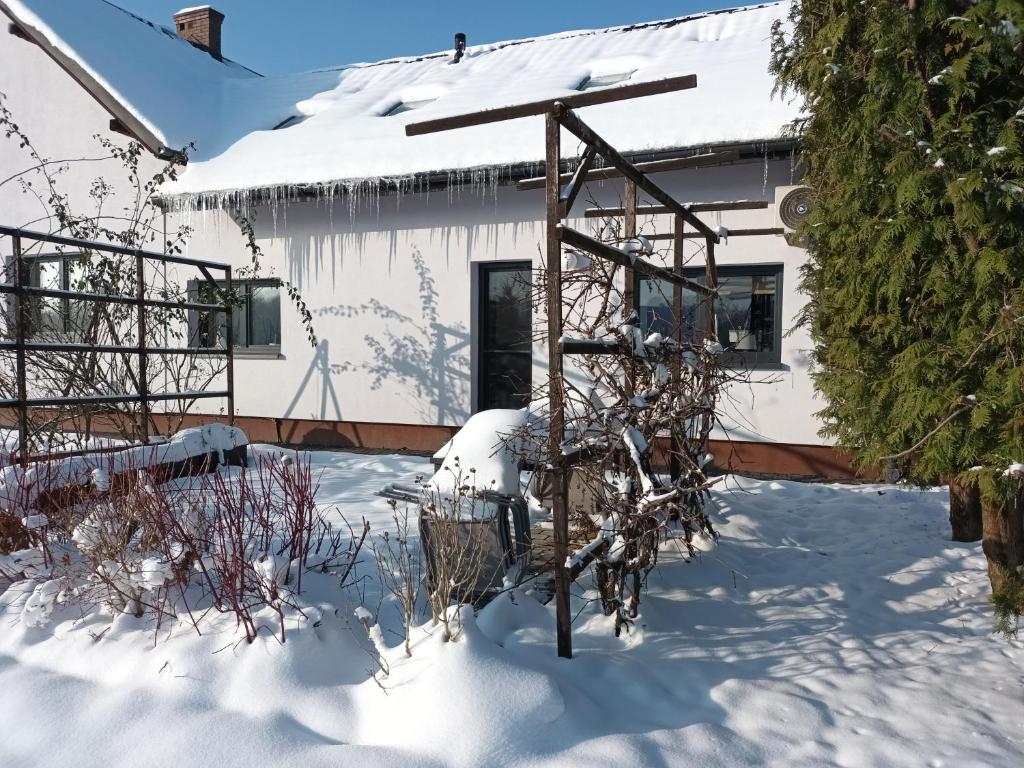 Apartamenty i Domki u Basi - Suite Apartment