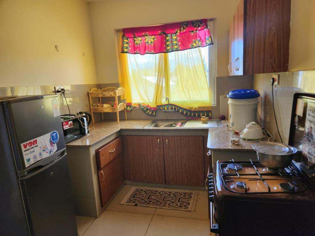 a small kitchen with a stove and a window at Prime Homes in Eldoret