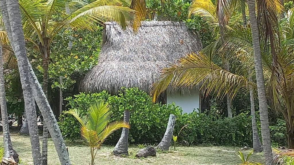 Aed väljaspool majutusasutust Playa Pikua Ecolodge