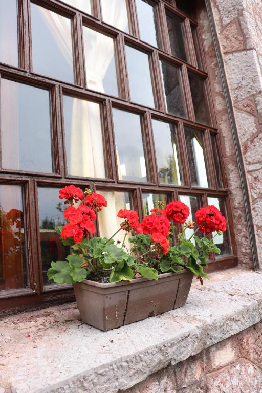 Jardín al aire libre en Chalet céntrico costero en Gijón