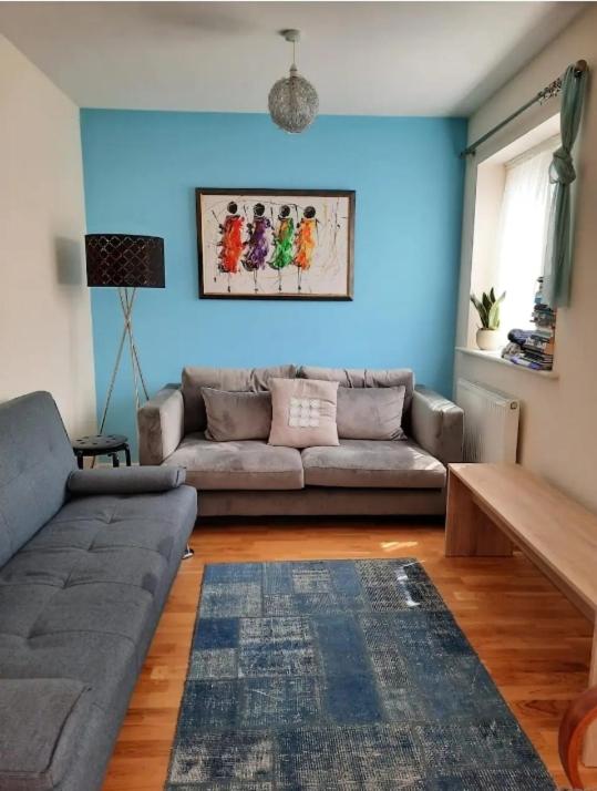 a living room with a couch and a blue wall at Cosy private room in Streatham Hill