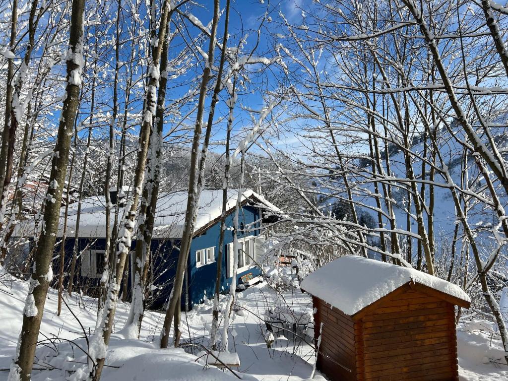 un tren azul está estacionado en la nieve en Platell Ferienhausverwaltung Sankt Andreasberg, en Sankt Andreasberg