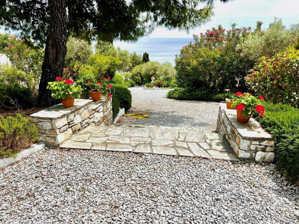 Zahrada ubytování Villa Athena Skiathos