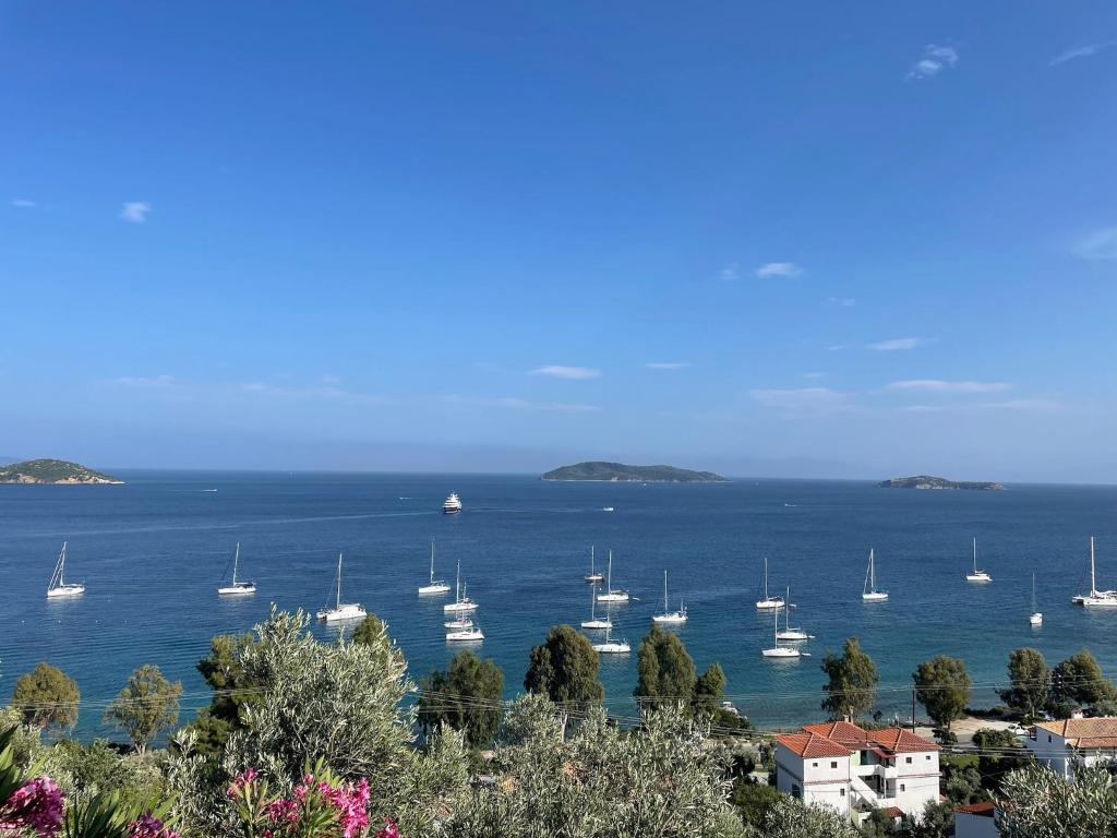a view of a bay with boats in the water at Villa Athena Skiathos in Megali Ammos