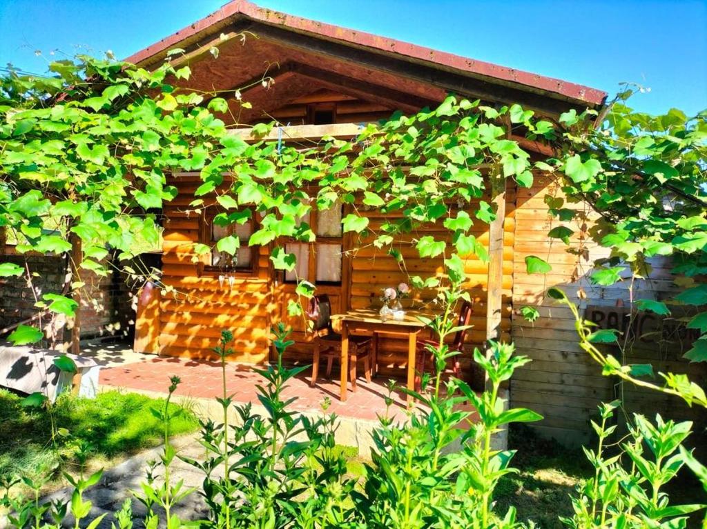 Afbeelding uit fotogalerij van JAGODA in Popovača