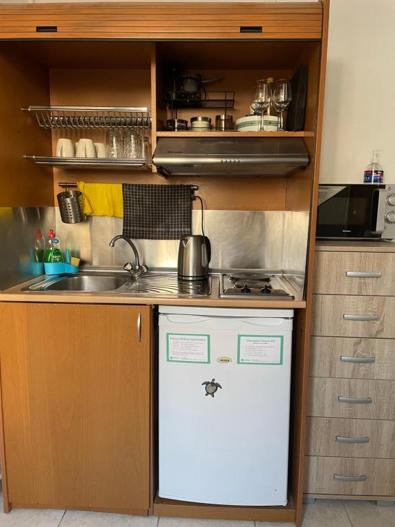 GreeceRent - LADADIKA - 15