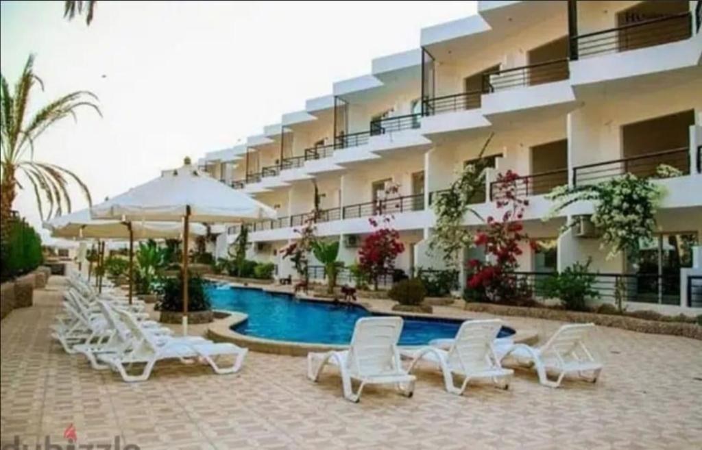 a hotel with a swimming pool with white chairs and umbrellas at fox house in Hurghada