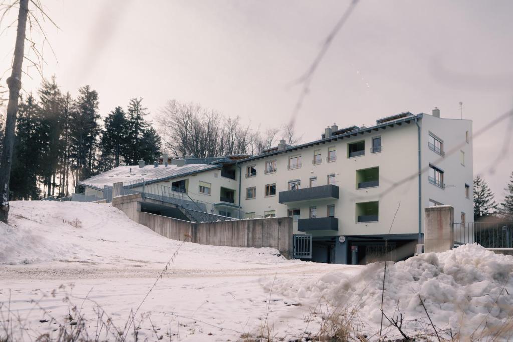 Peak Haven apartments, Pohorje v zimě