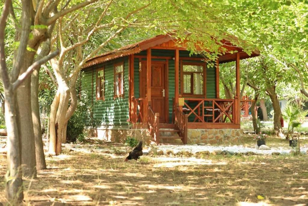 Zahrada ubytování Eden Bungalows and Beach
