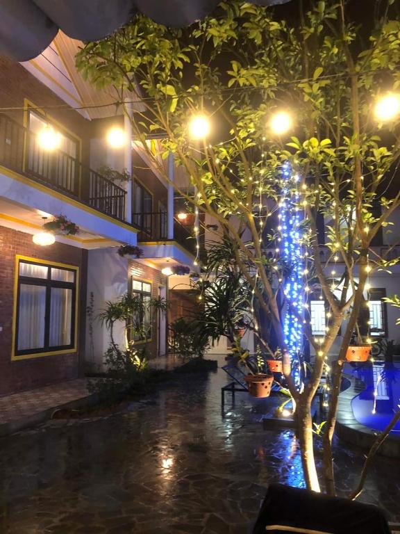 Tam Coc Green Mountain Homestay - 17