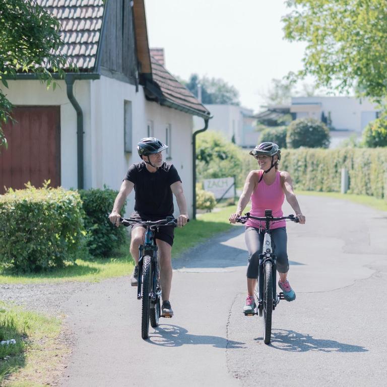 Hosté ubytování Aparthotel Bad Radkersburg