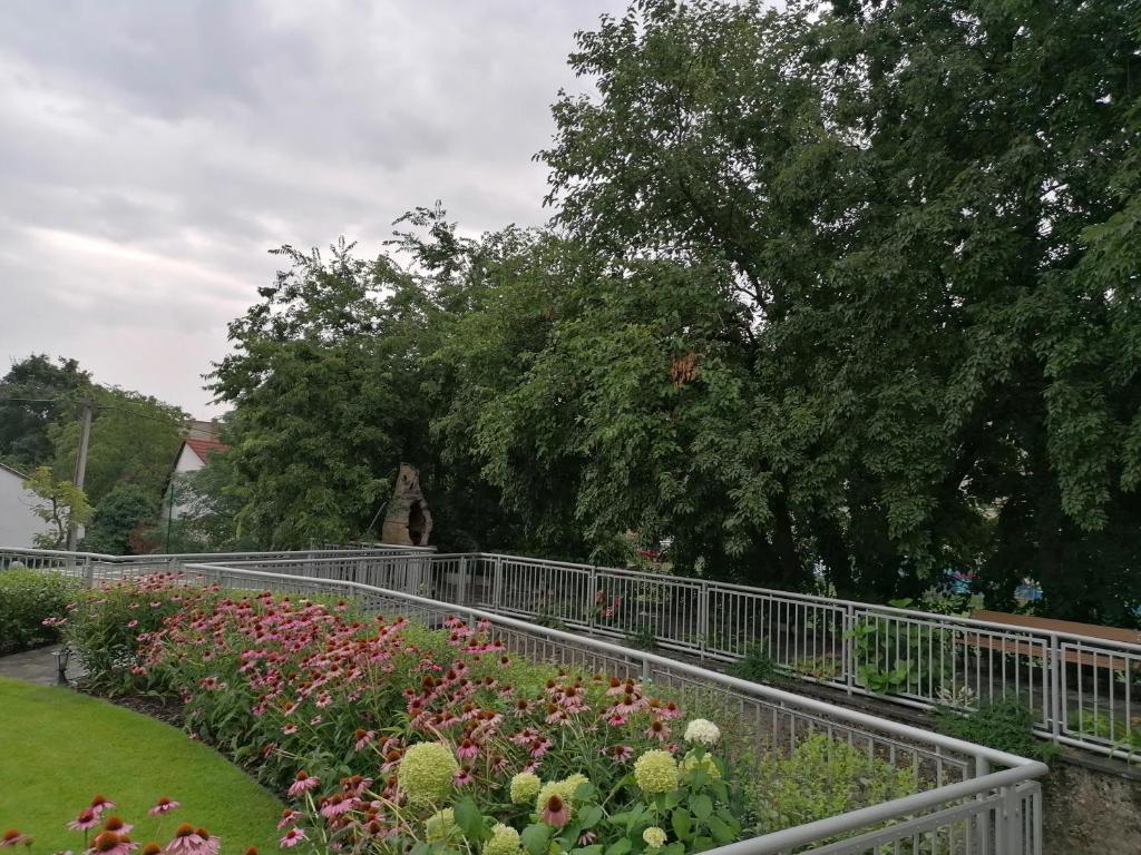 Zahrada ubytování Tóni Villa