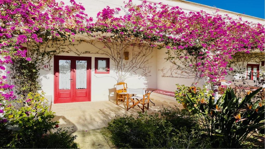 Masseria Torre Coccaro photo 5