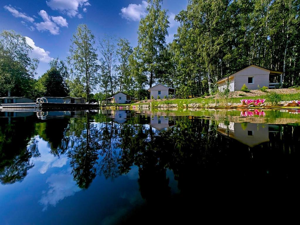 Příroda nedaleko kempu