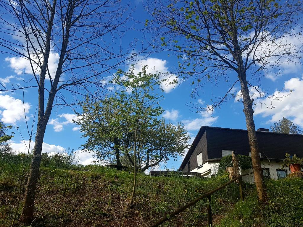 a house on top of a hill with trees at Sauerland Alm Winterberg 5 in Hallenberg
