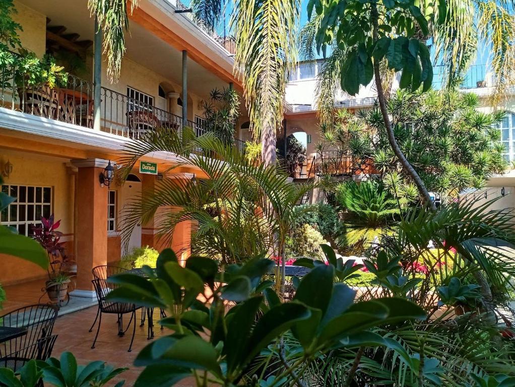 einen Innenhof mit Stühlen und Pflanzen in einem Gebäude in der Unterkunft Hotel Mezvall in Morelia