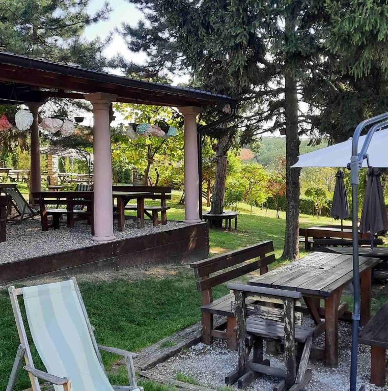 Zahrada ubytování Vila Davidovic-Fruska gora
