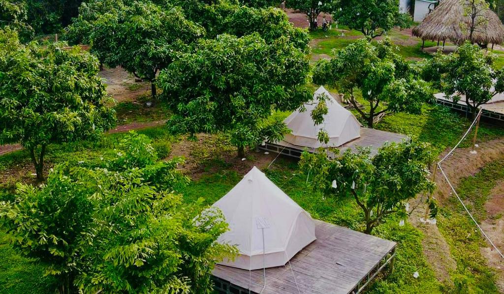 an overhead view of tents in a field with trees at The Secret Garden Camping - Hồ Trị An 