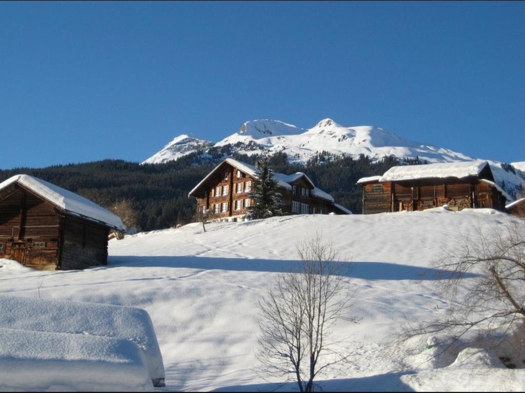 een met sneeuw bedekt gebouw met bergen op de achtergrond bij Dorengaden, 2-3 Bett Wohnung an ruhiger Lage mit Solarstrom in Grindelwald