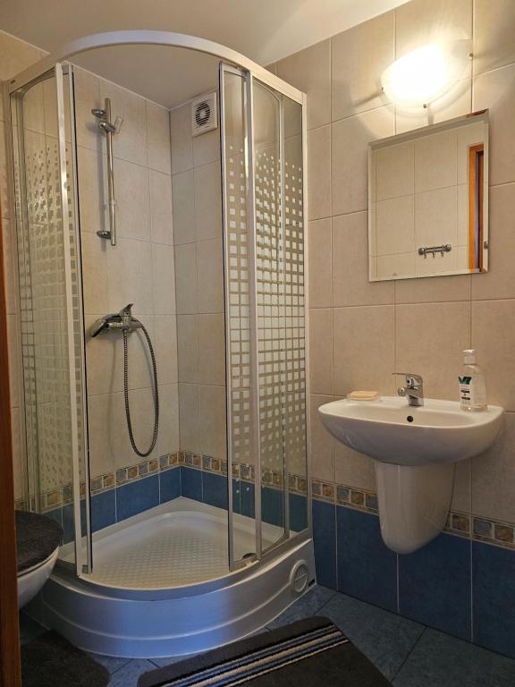 Villa Pandora - Zakopane Centrum في زاكوباني: حمام مزود بدش ومغسلة