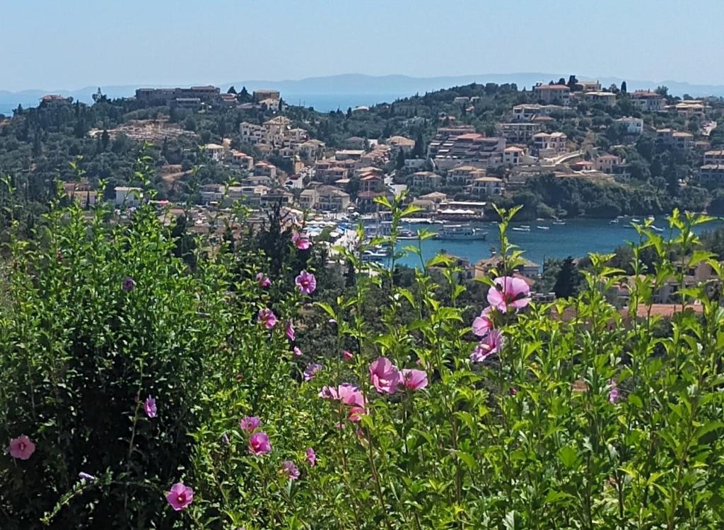 a view of a city with pink flowers at Charoula's Apartments in Syvota