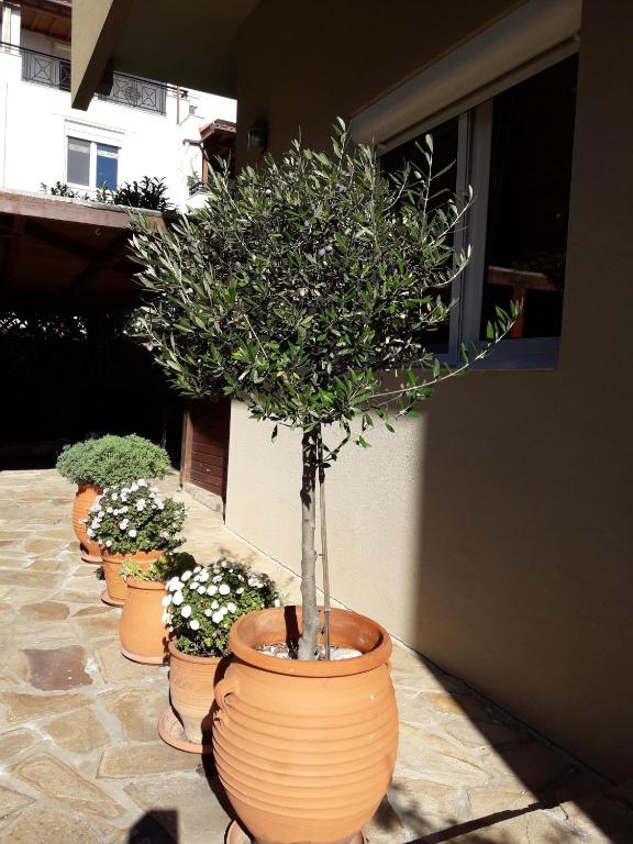 Avenue Luxury Apartments - 14