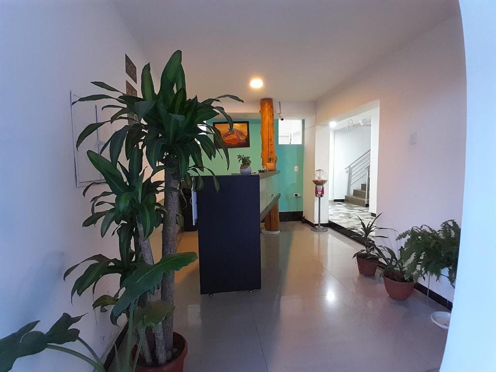 Vstupní hala nebo recepce v ubytování HOSTELFC CORFERIAS