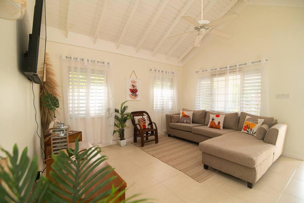 a living room with a couch and a tv at The Gardenia Compound - Ocho Rios Area in Richmond