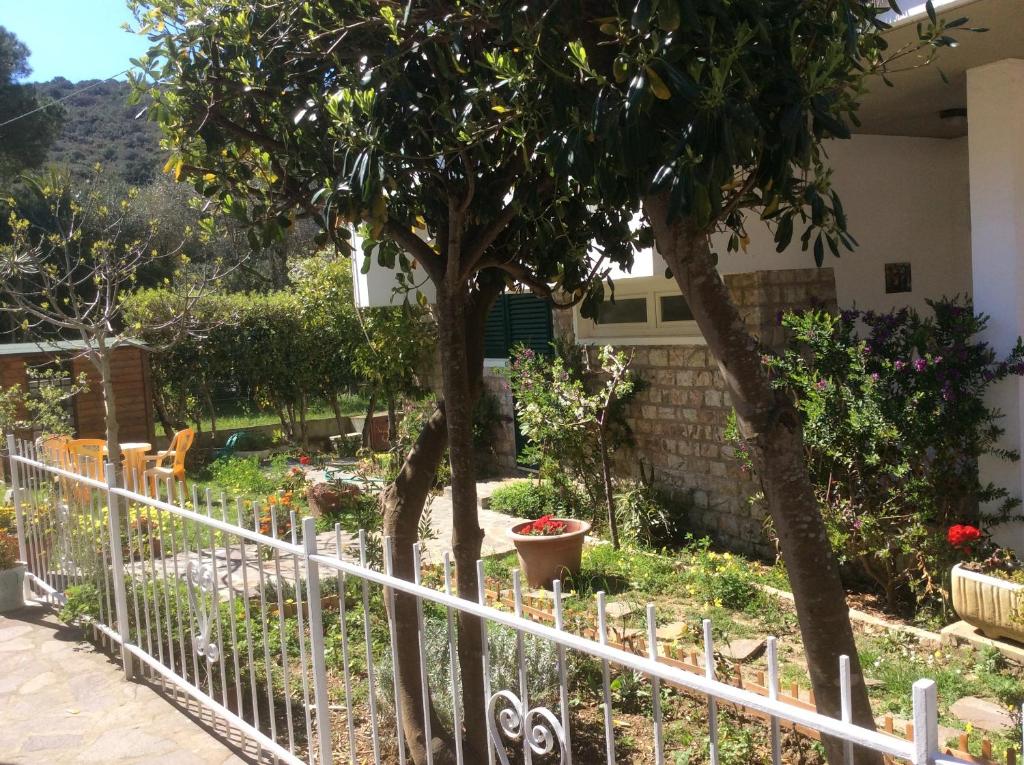 Zahrada ubytování Hotel Edera