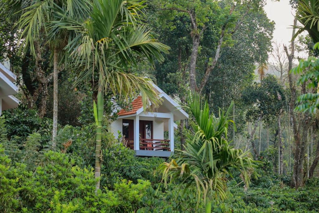 una pequeña casa en medio de un bosque en Dhanagiri Home Stay, en Vythiri