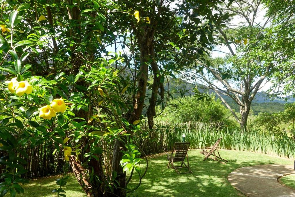 a chair sitting in a yard next to a tree at Pousada Canto Verde in Tiradentes