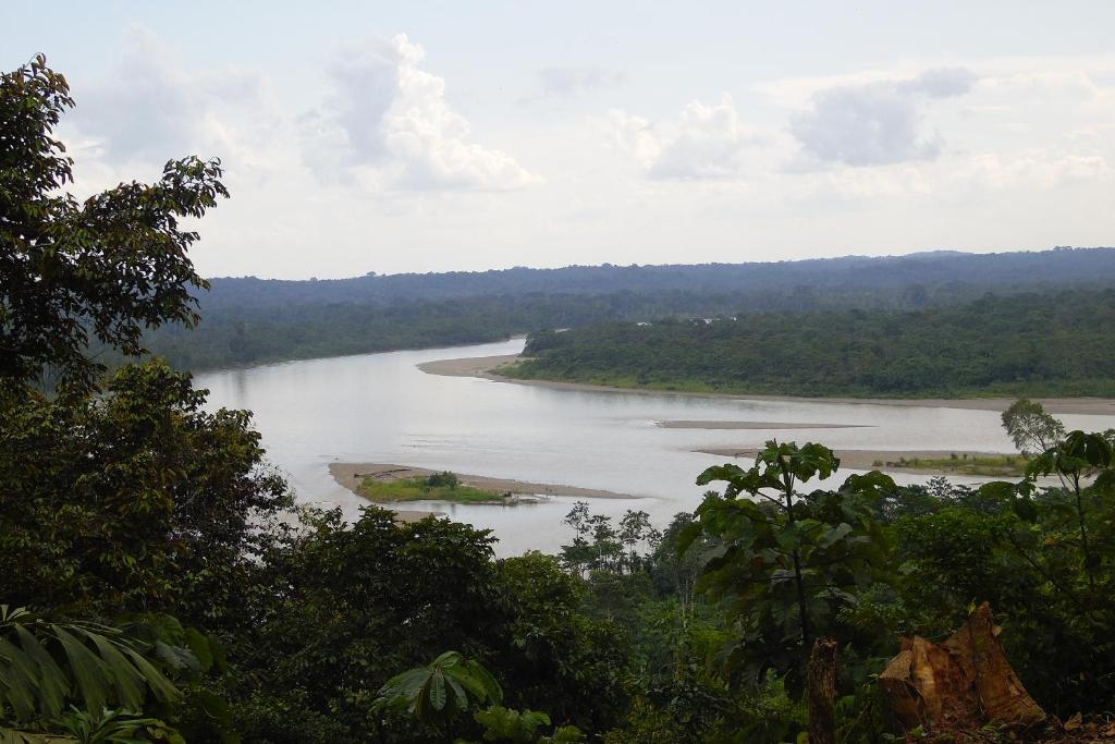 uma vista para um rio com árvores em primeiro plano em Apu Napo Lodge & Reserve em Mondaña