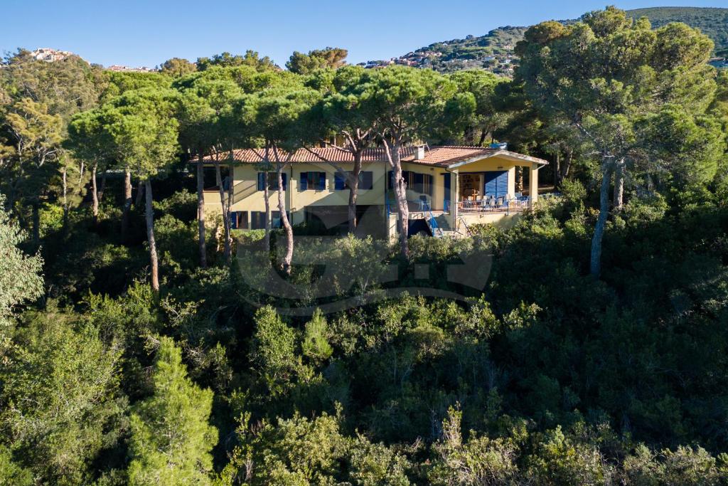 an aerial view of a house in the trees at Villa Madonna delle Grazie con accesso privato al mare - Goelba in Capoliveri