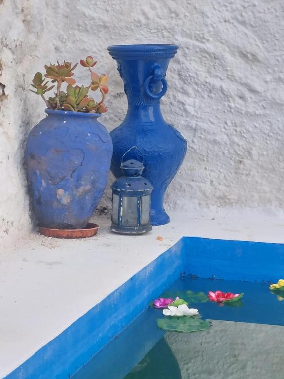 Benadalid的住宿－Casa rural El Patio，两只蓝色花瓶坐在一个有盆栽的树 ⁇ 上