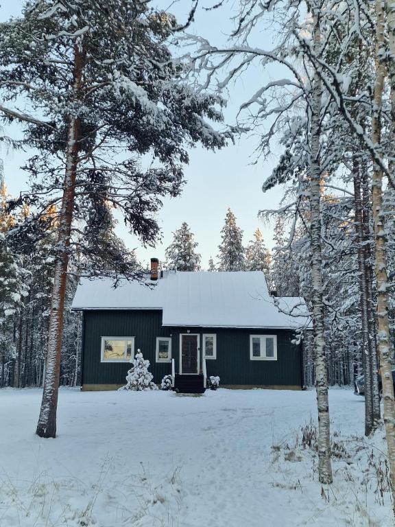 a house with a snow covered roof in the snow at Villa Kaikuranta in Nellimö