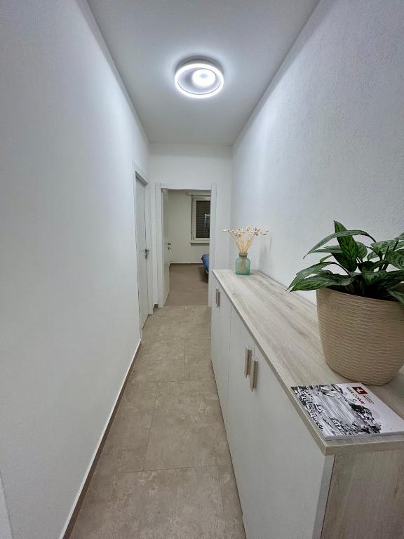 Fotografie z fotogalerie ubytování *Veranda's rooms* - Free parking in central Lugano v destinaci Lugano