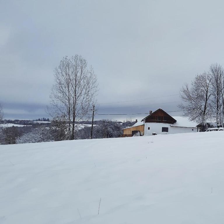 un campo cubierto de nieve con una casa en el fondo en Cabana în zona turistica en Râșca