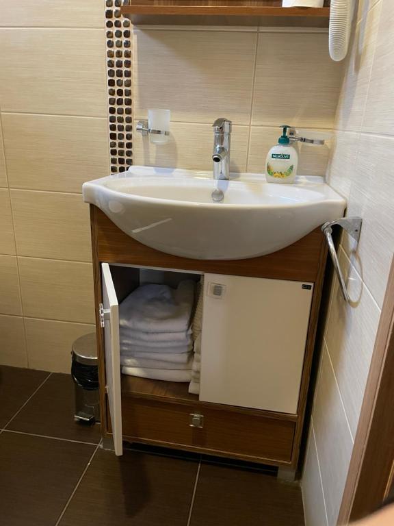 a bathroom with a sink and a shelf with towels at Snežna Kuća Apartments in Kopaonik