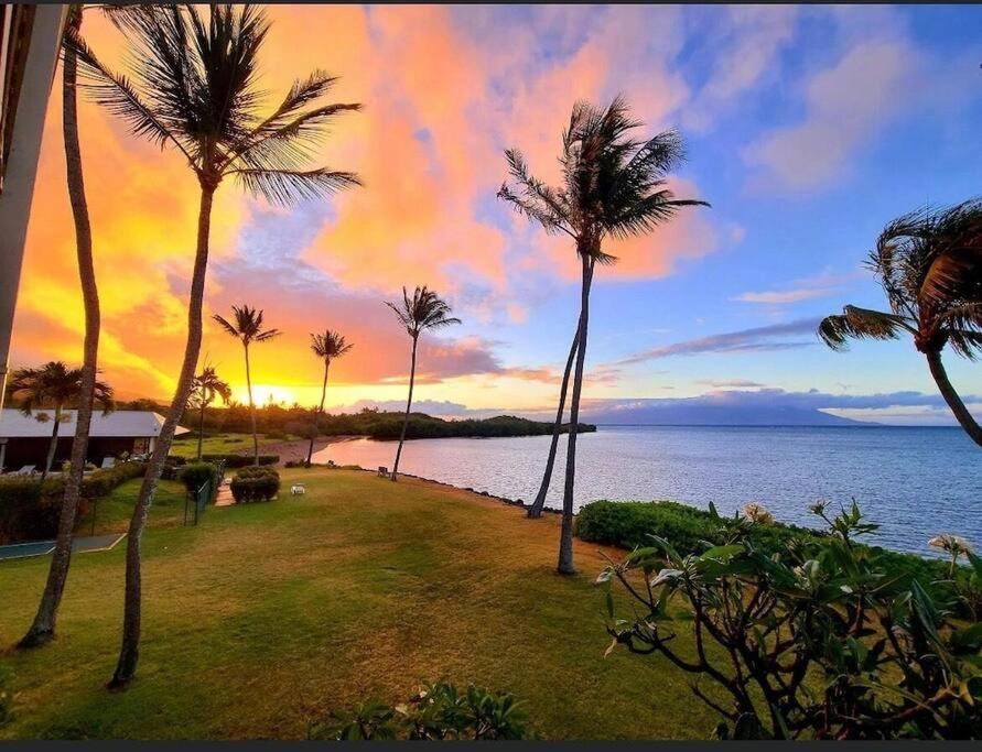 Ualapue的住宿－Oceanfront true 2 bedroom w/lanai on Molokai，一群棕榈树在水边,日落