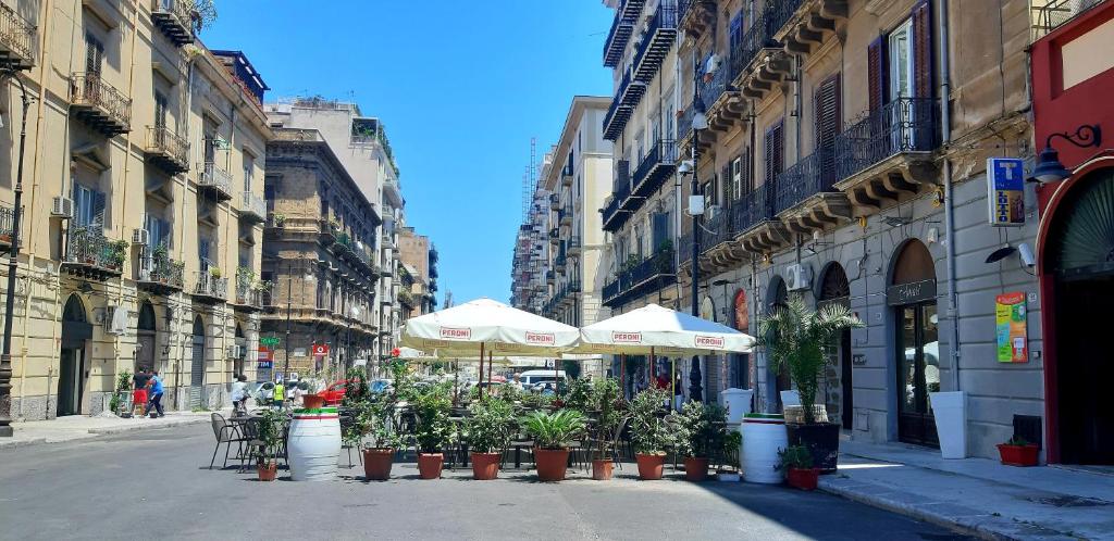 eine Straße mit Sonnenschirmen und Topfpflanzen auf einer Stadtstraße in der Unterkunft Palermo Politeama rooms in Palermo