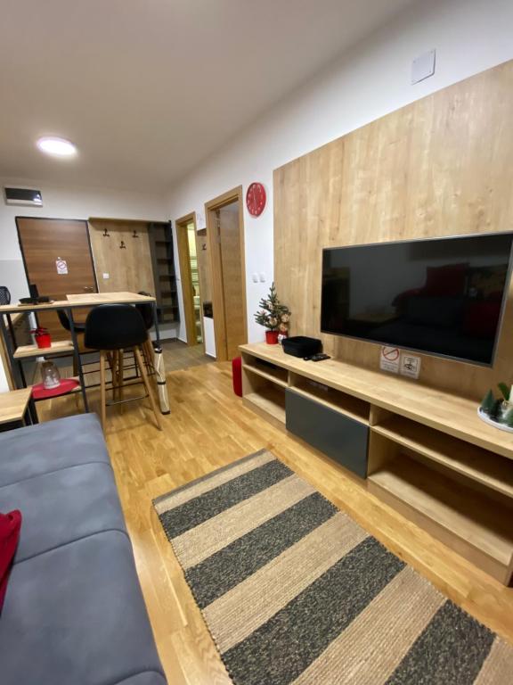 Μια τηλεόραση ή/και κέντρο ψυχαγωγίας στο Apartmani Obućina Kapije Jahorina