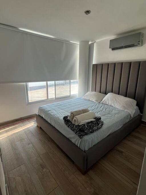 1 dormitorio con 1 cama grande y ventana grande en Departamento Punta Blanca, en Punta Blanca