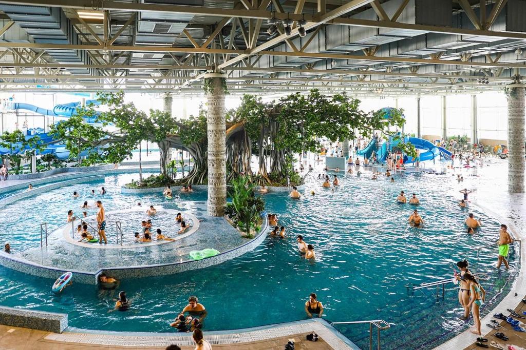 a group of people swimming in an indoor swimming pool at Noreea Central Apartment in Timişoara