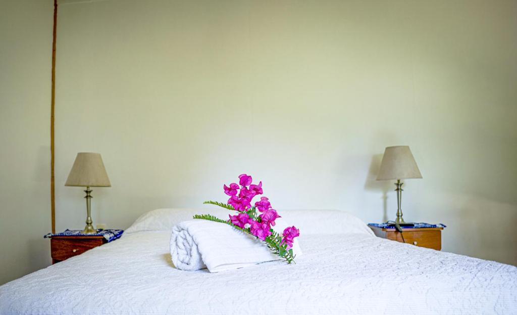 Cabañas moeVarua en Tahai