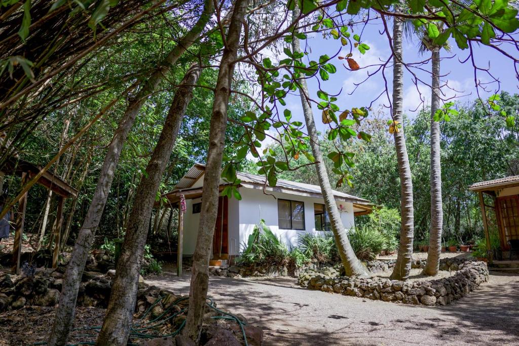 Cabañas moeVarua en Tahai