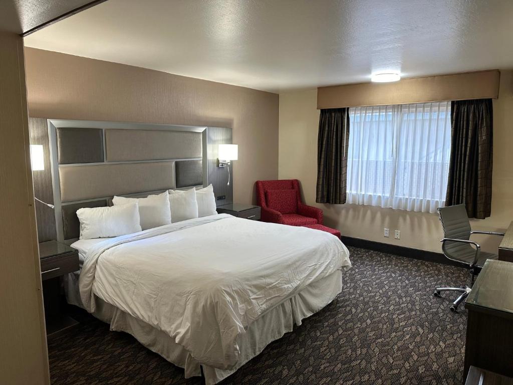 a hotel room with a bed and a red chair at Red Roof Inn Yuba City in Yuba City