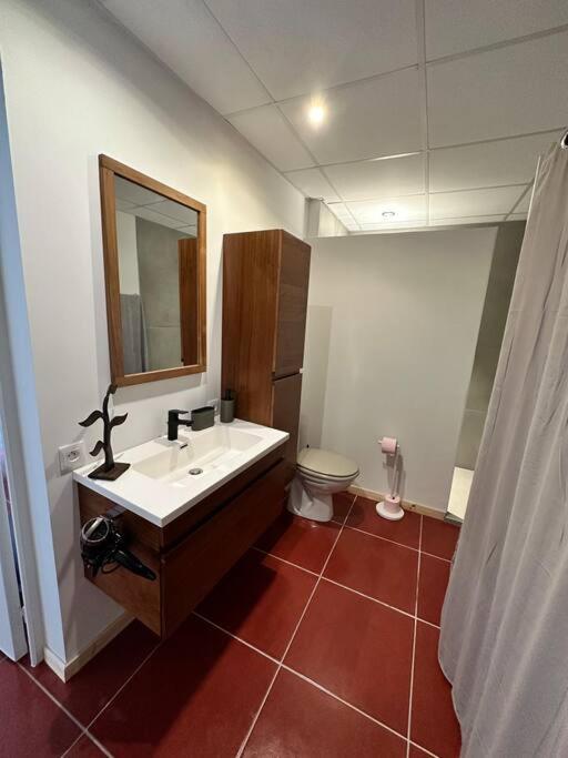 Koupelna v ubytování APPARTEMENT T3 "TI CAZE" Villa Bel Kay Nou